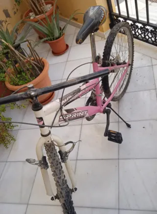 Bicicletas de niña de 24 pulgadas.
