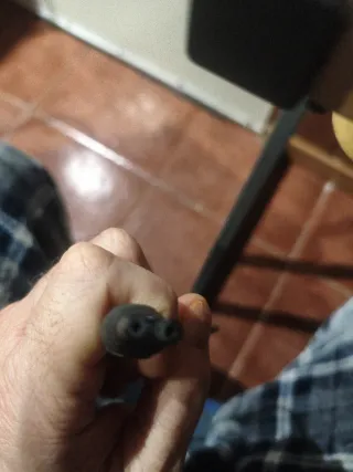 Recambios y cargador Philips Bodygroom