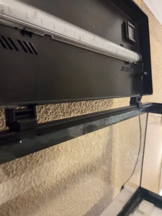 Acuario 25L con Termocalentador