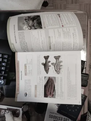 Inicia Biology 1.º ESO. Student's Book Volume 2