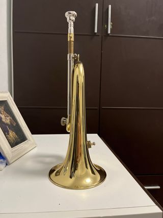 Corneta Amadeus ACT301