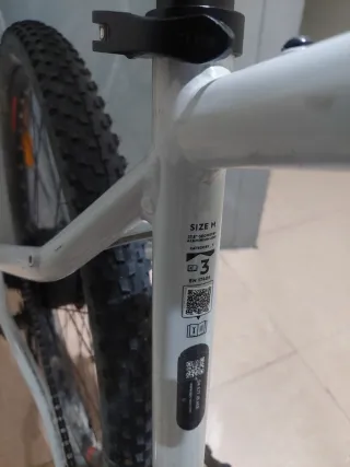 Bicicleta Eléctrica E-ST 100