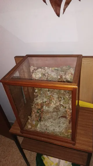 Vitrina antigua para Belén