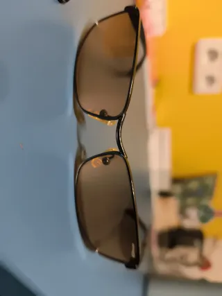 Gafas de sol Arnette Trooper 3016 Marrón/Dorado