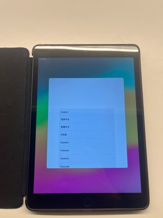 iPad 7ª Gen 10.2 Wi-Fi + Cellular 32GB Grigio