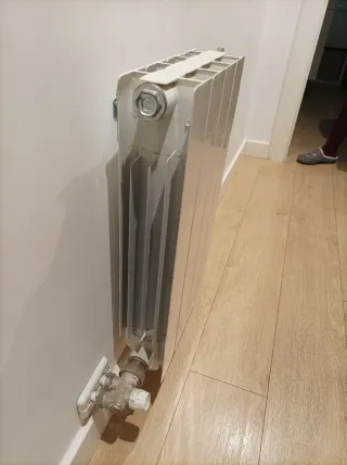 Radiador de aluminio 2 elementos. Sólo en persona.