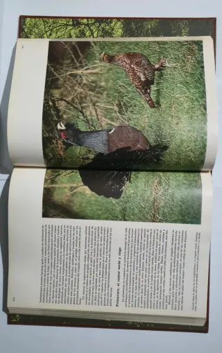 Enciclopedia Salvat de la fauna ibérica y euro...