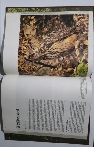 Enciclopedia Salvat de la fauna ibérica y euro...