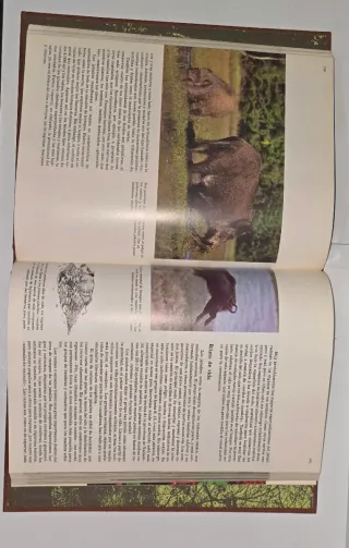 Enciclopedia Salvat de la fauna ibérica y euro...
