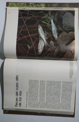 Enciclopedia Salvat de la fauna ibérica y euro...