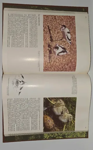 Enciclopedia Salvat de la fauna ibérica y euro...