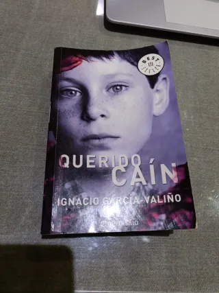 Querido Caín (Spanish Edition)