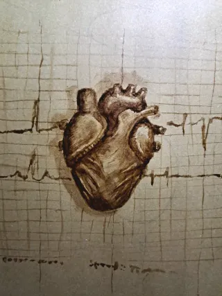 Corazón Anatómico - Dibujo a Mano Único