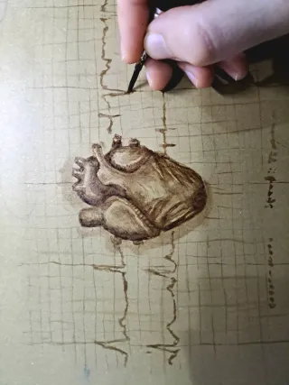 Corazón Anatómico - Dibujo a Mano Único