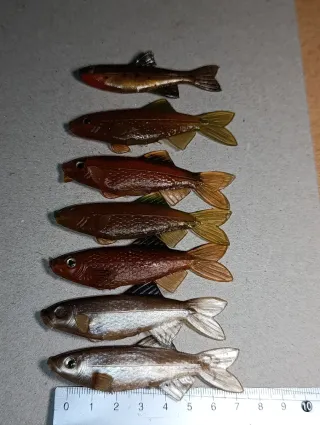 Señuelos pesca gona