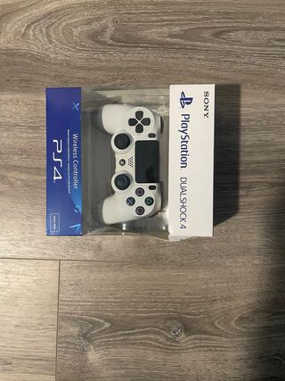PS4 (PlayStation 4) FIFA 19 + Mando Dualshock 4