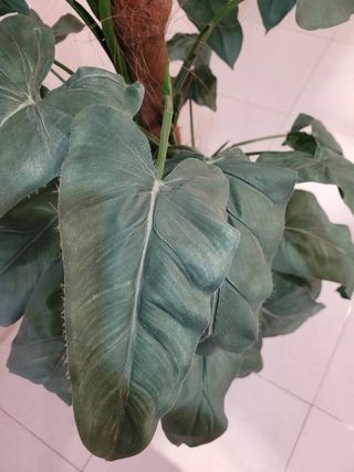 ARBOL ARTIFICIAL ALOCASIA