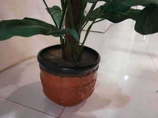 ARBOL ARTIFICIAL ALOCASIA