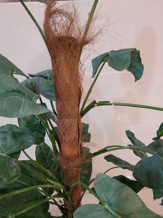 ARBOL ARTIFICIAL ALOCASIA