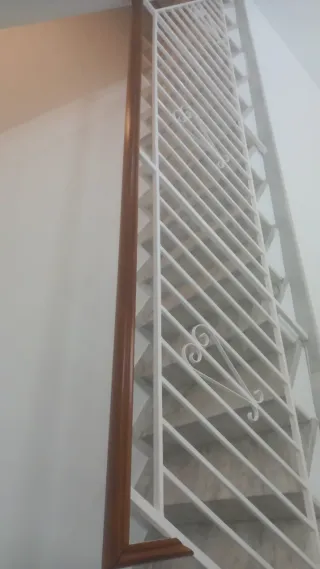 Puerta de forja con detalles dorados