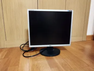 Monitor LG Flatron Plata