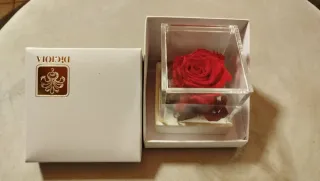 Rosa stabilizzata con luci LED