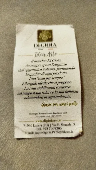 Rosa stabilizzata con luci LED