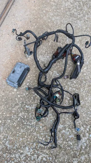 Cableado y centralita 1.6 NFZ