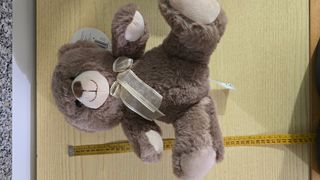 Orsacchiotto di peluche