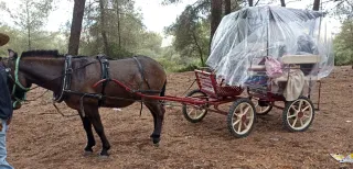 Carro rojo para paseos