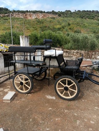 Carro negro para paseos