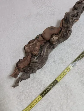 Rama de vid de madera para terrario y acuario