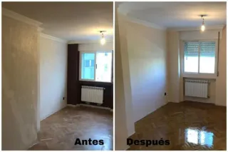 Pintor profesional económico