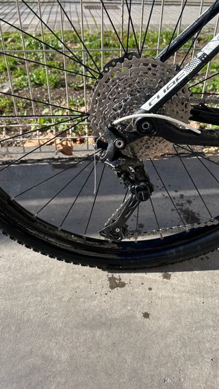 Bicicleta 29 Carbono