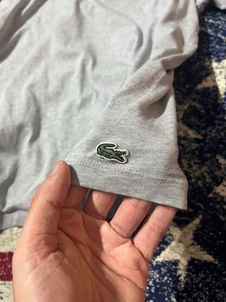 T-shirt Lacoste Grigia