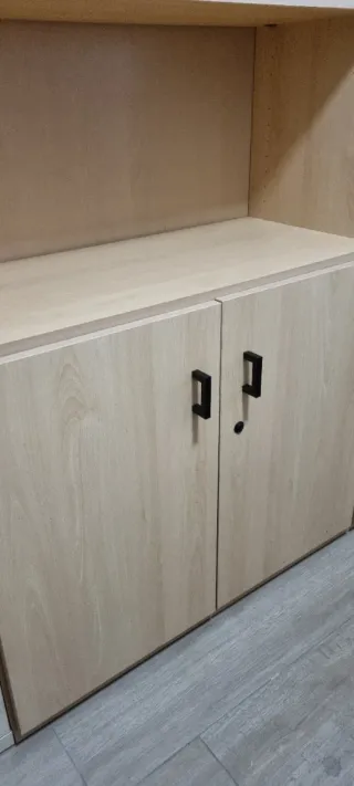 Lote mobiliario oficina. Estantería y vitrina.