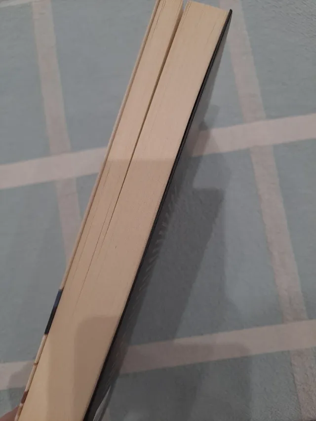 La mirada inconformista 40 años de periodismo