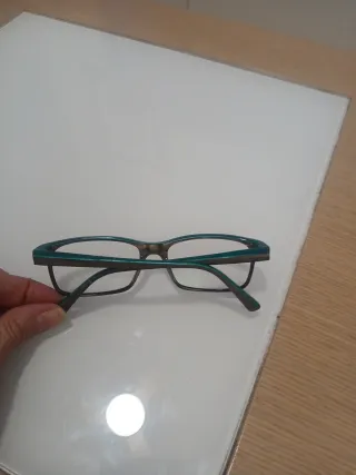 Montura Gafas Etnia Barcelona Marrón/Turquesa