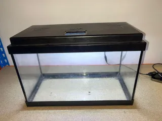 Acuario con accesorios.
