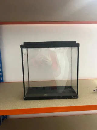 Acuario con accesorios.