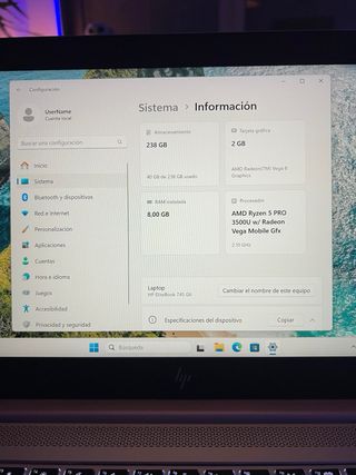 HP EliteBook 745 G6 Plata/negro