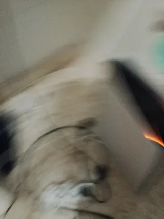 PlayStation 5 (PS5) sin mando