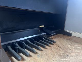 órgano electrónico