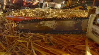 Motosierra Stihl MS 170