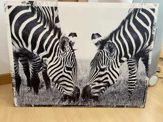 Confezione di quadri di due zebre in bianco e nero