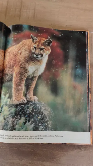 El reino animal Reportajes fotográficos.