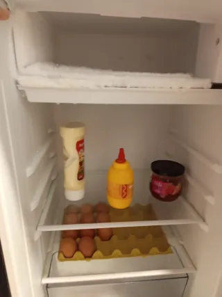 Frigorífico Evvo Negro