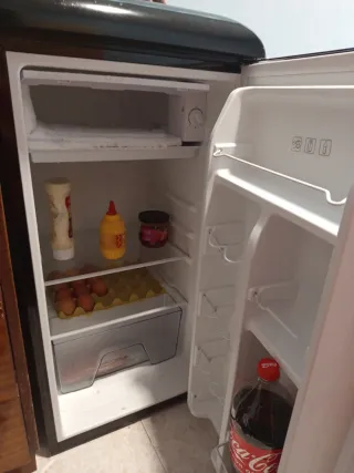 Frigorífico Evvo Negro