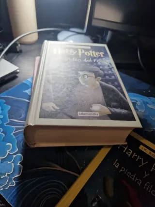 Harry Potter Y La Piedra Filosofal