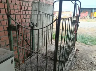 Báscula para ganado